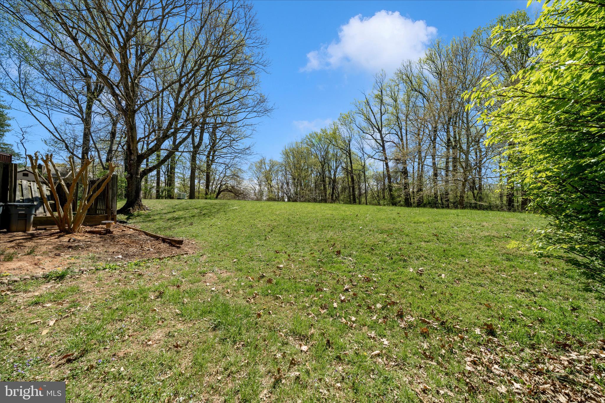 11704 Lone Tree Court Columbia, MD 21044 - Photo 29 of 38 a view of a field with trees