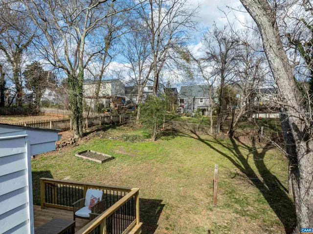 a view of a yard with plants and large tree