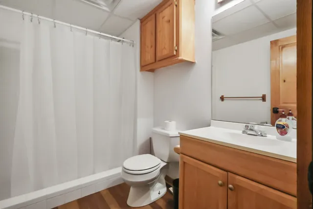 a bathroom with a sink a toilet and shower curtain