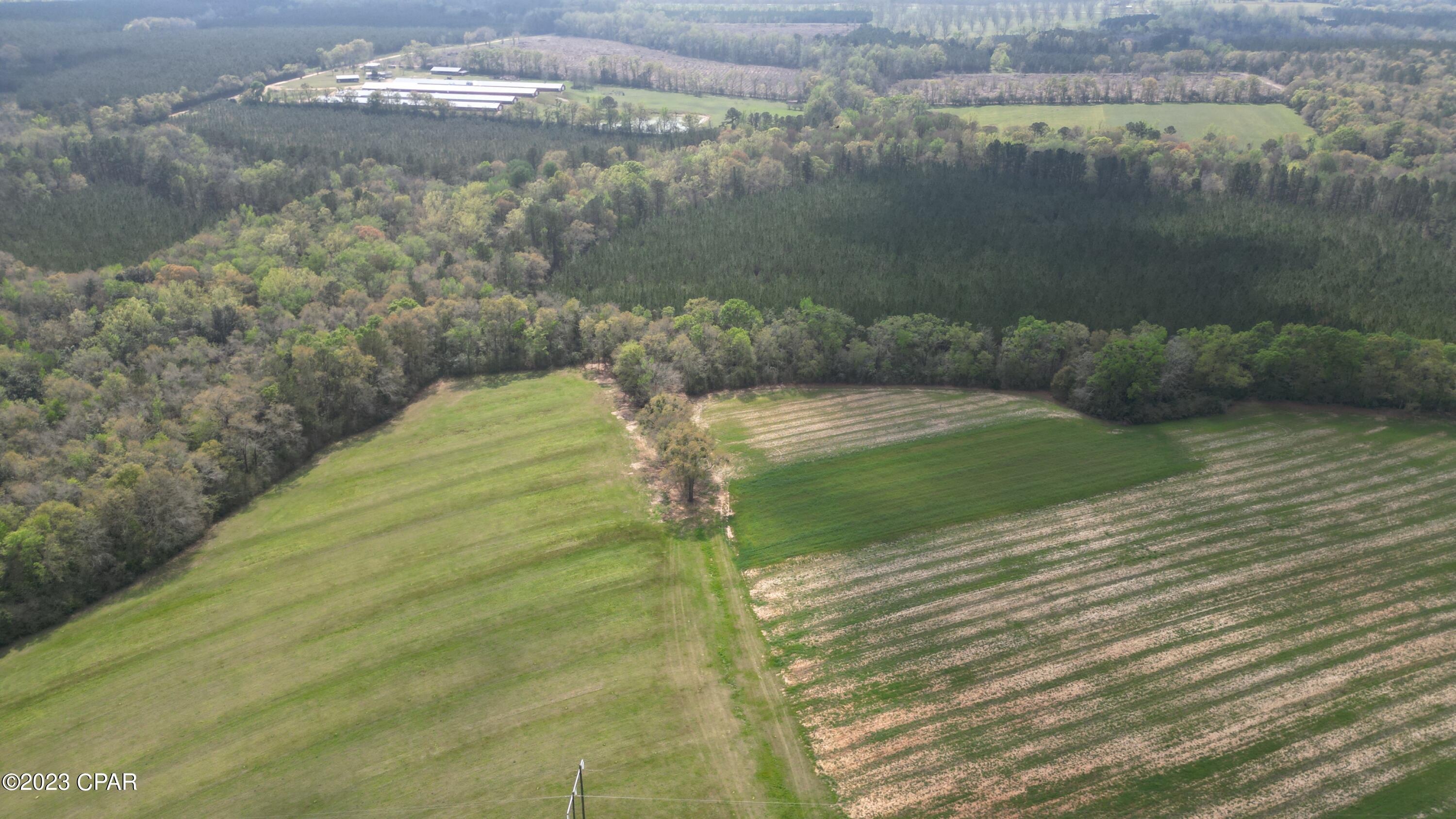 0 Anderson Road Bonifay, FL 32425 - Photo 3 of 16 Gallery Image 3