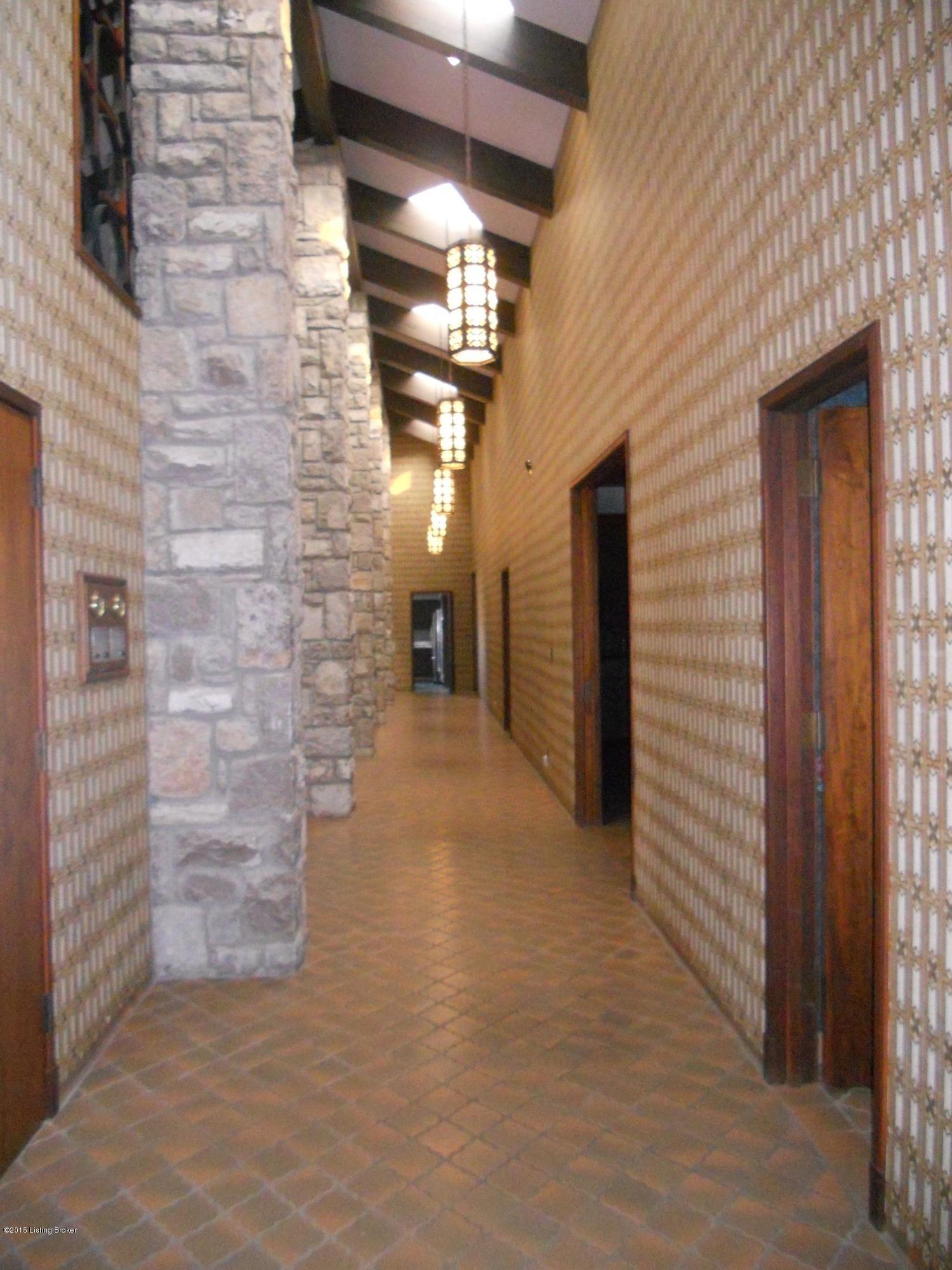 Massive Hallway with vaulted ceilings and bookcases.