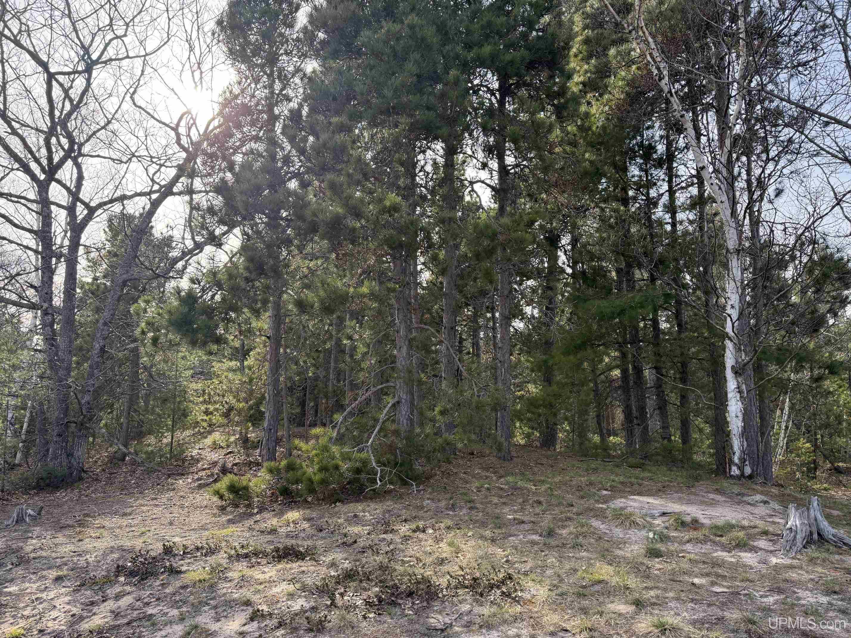 5877 5 Mile Pt Road Allouez, MI 49805 - Photo 49 of 91