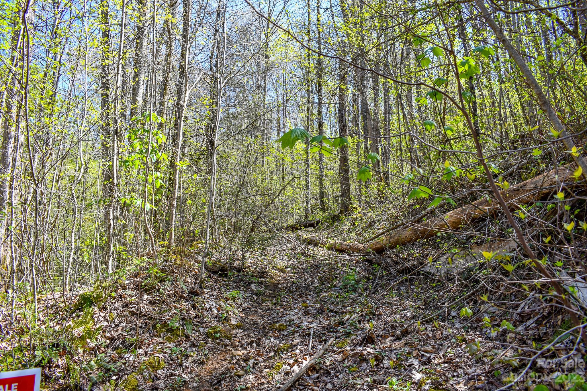 Lot 9 Walnut Cv Ridge, Unit 9 Bryson City, NC 28713 - Photo 3 of 9