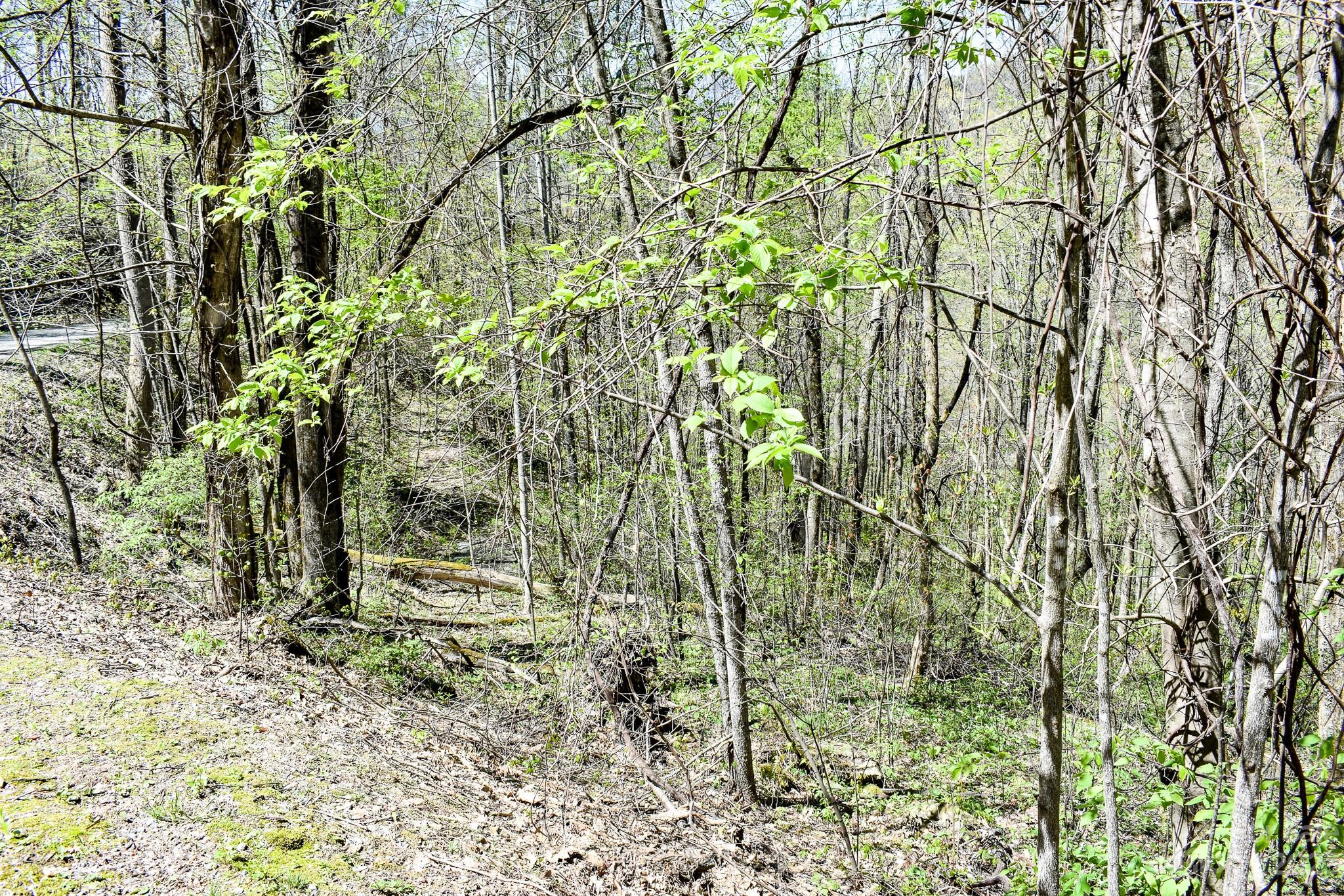 Lot 9 Walnut Cv Ridge, Unit 9 Bryson City, NC 28713 - Photo 5 of 9