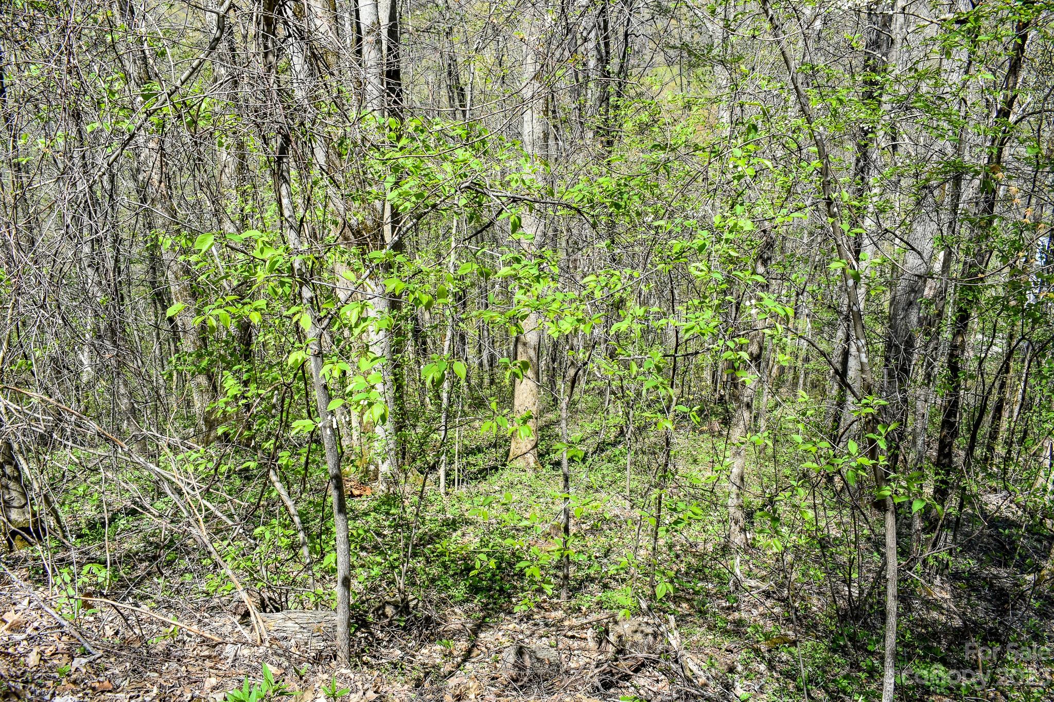 Lot 9 Walnut Cv Ridge, Unit 9 Bryson City, NC 28713 - Photo 6 of 9