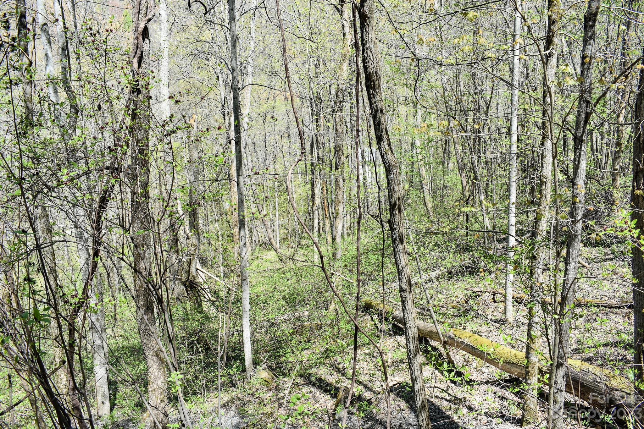Lot 9 Walnut Cv Ridge, Unit 9 Bryson City, NC 28713 - Photo 9 of 9