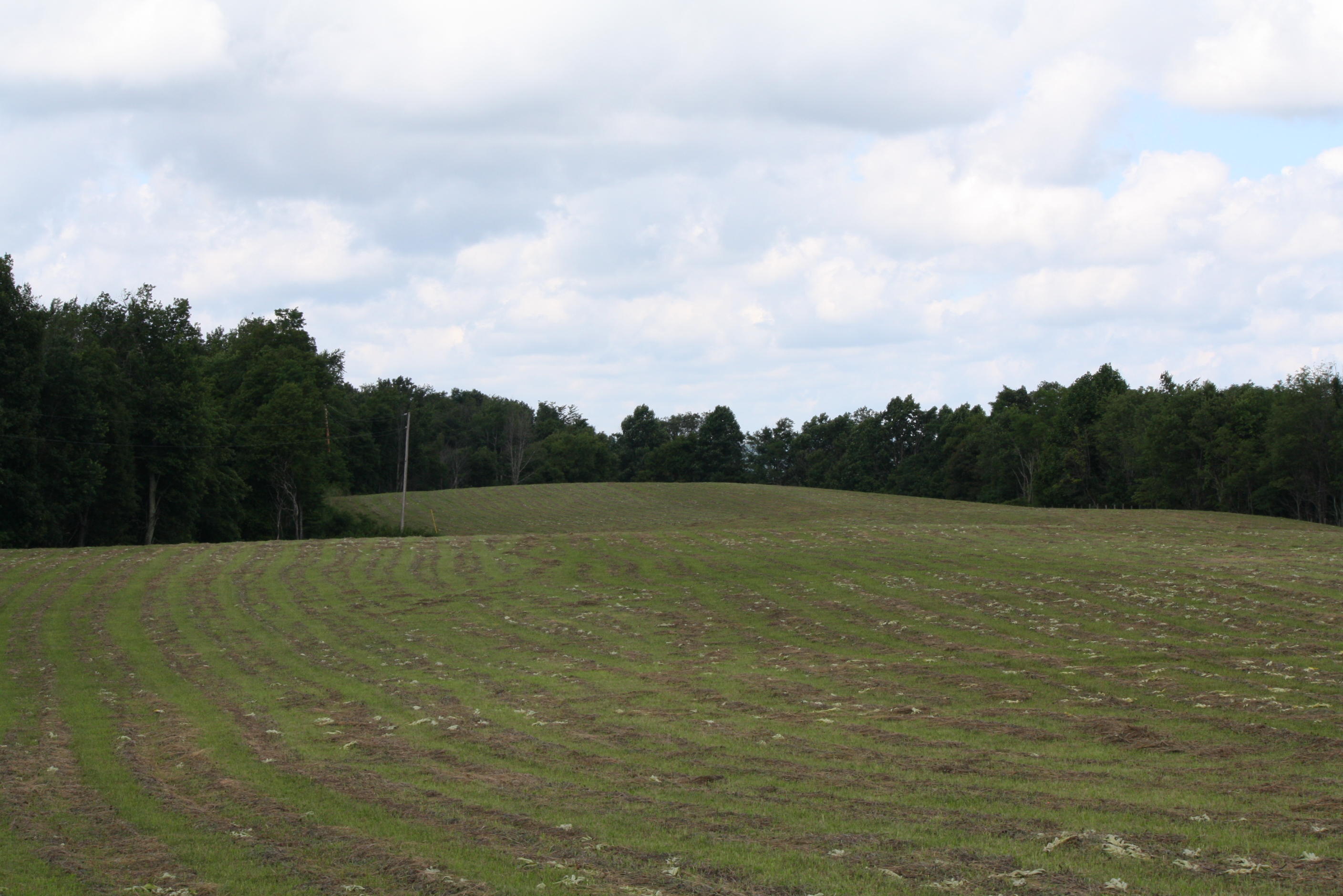 3296 Simms Mountain Road Rainelle, WV 25962 - Photo 108 of 119 Gallery Image 108