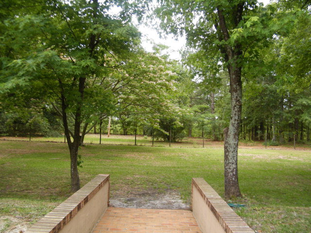 200 Grady Pond Road Batesburg, SC 29006 - Photo 22 of 33