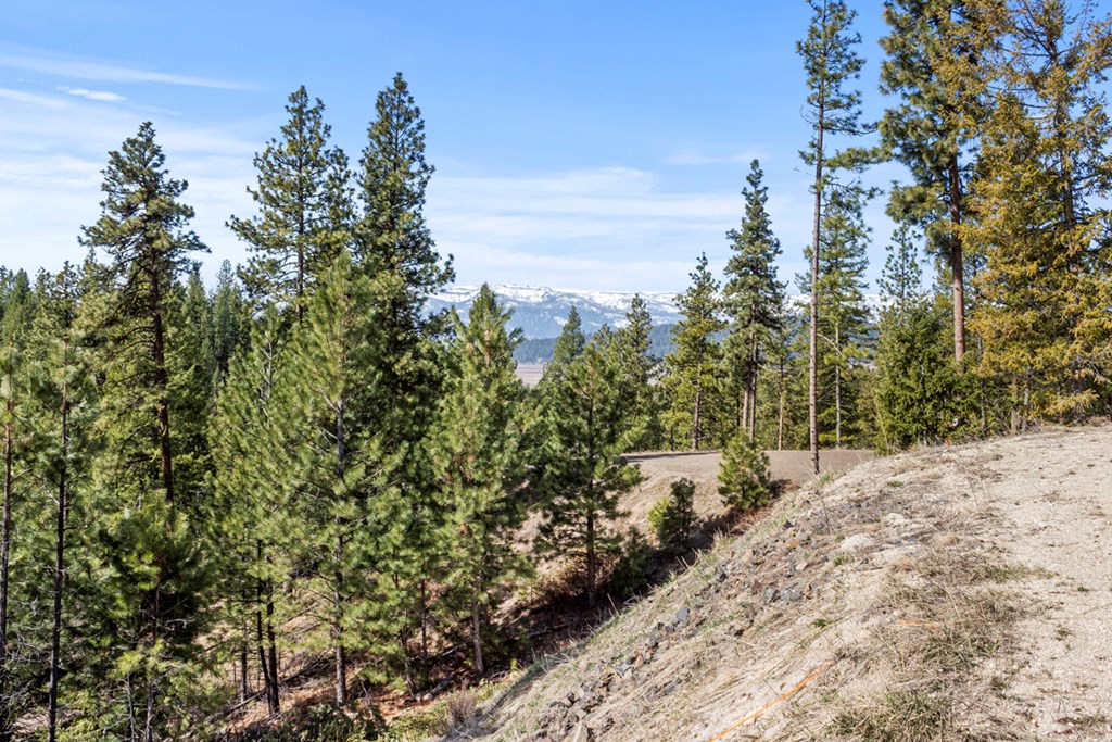 17 Tito Trail, Unit 1 Cascade, ID 83611 - Photo 5 of 16 Looking Northwest
