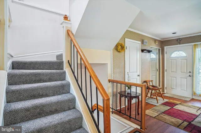 a view of staircase with lots of frames on wall and a rug