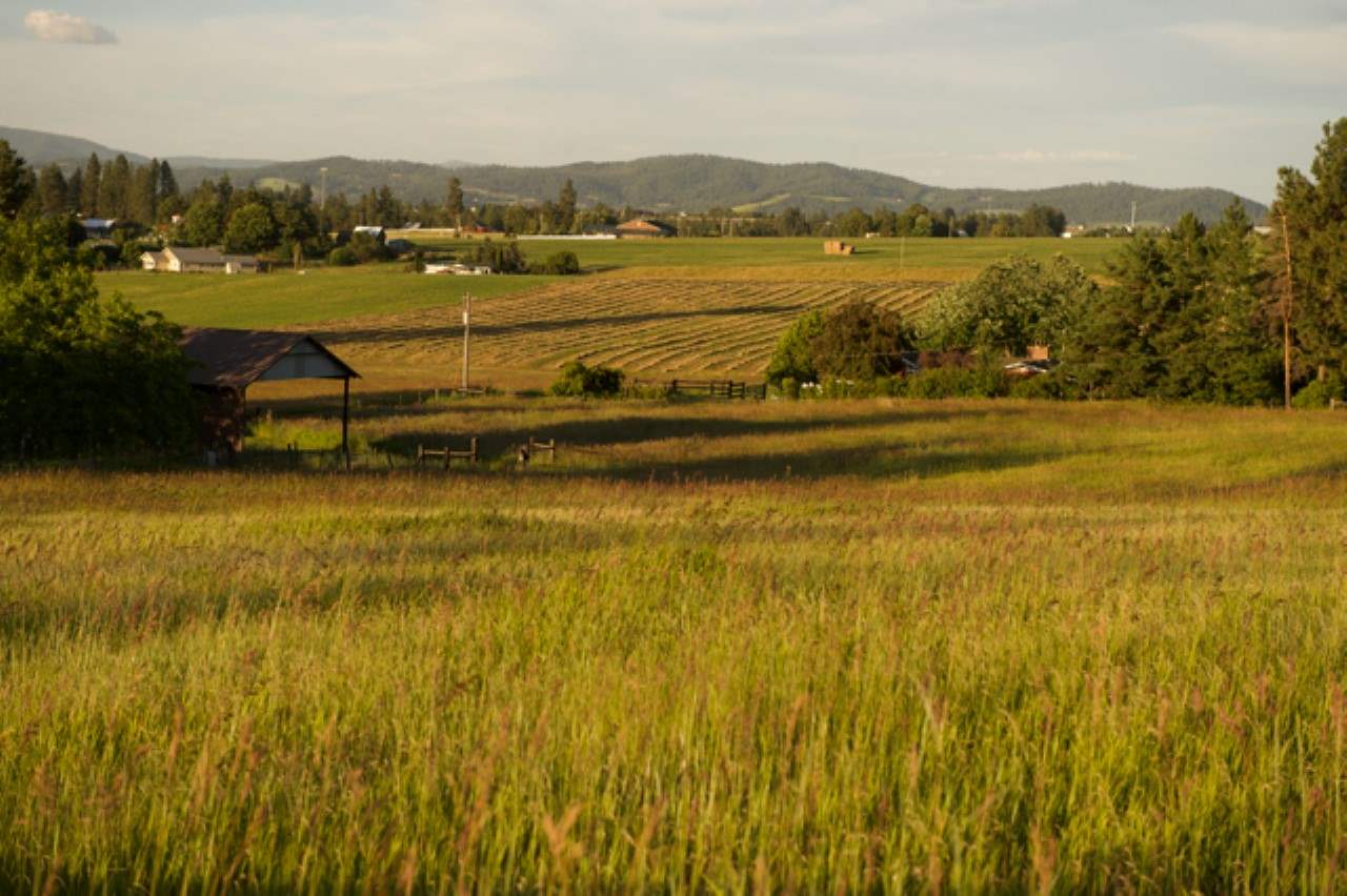 7210 East Bigelow Gulch Road Spokane, WA 99217 - Photo 1 of 6 Gallery Image 1
