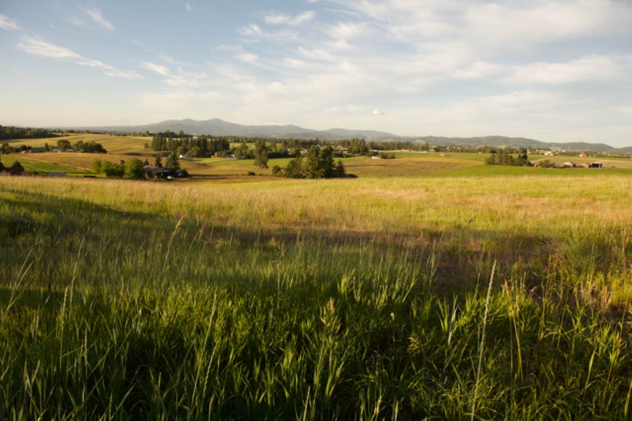 7210 East Bigelow Gulch Road Spokane, WA 99217 - Photo 2 of 6 Gallery Image 2