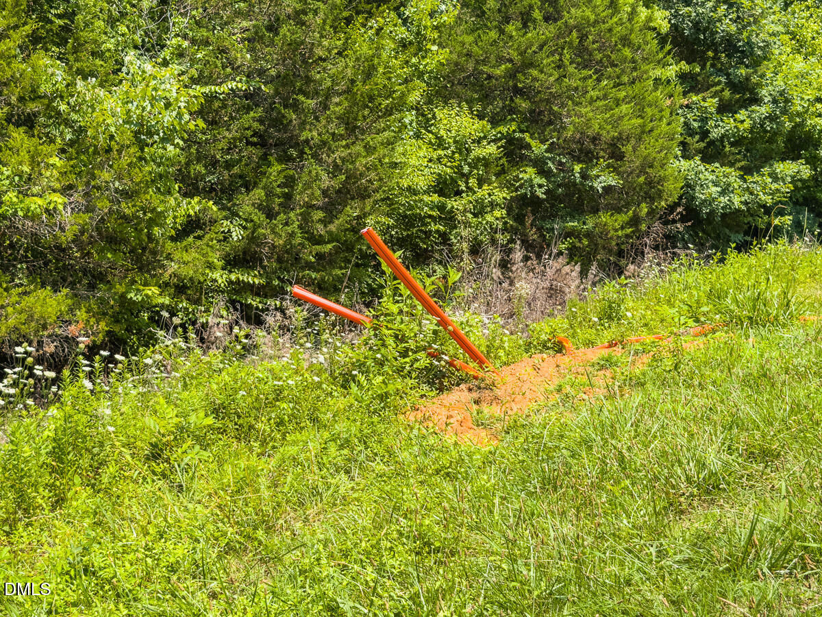 0 Park Springs Road Ruffin, NC 27326 - Photo 25 of 31 Caswell Co. NC 7.19-COA-25