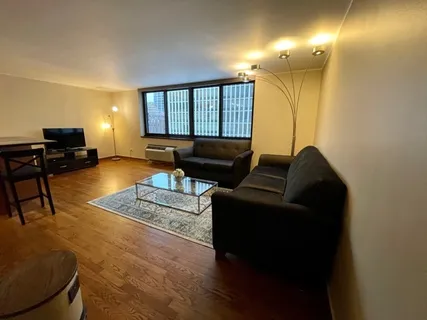 $3,500 | 1221 North Dearborn Street, Unit 804S, Chicago, IL 60610