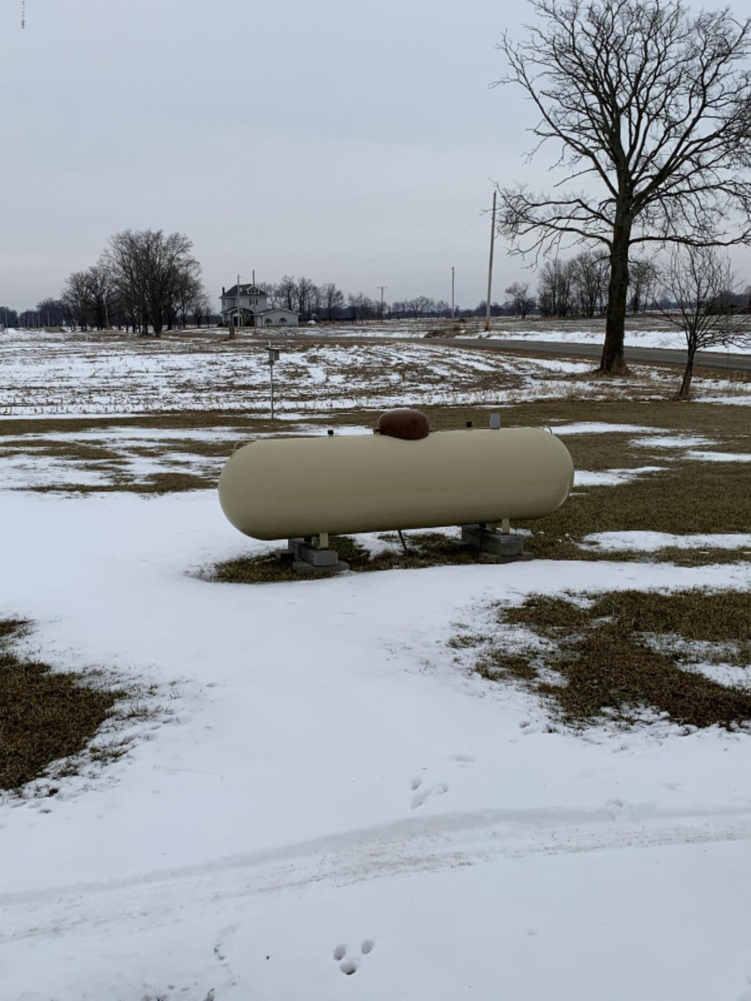 882 Gilead Lake Road Bronson, MI 49028 - Photo 25 of 25 Whole House Generator Propane Tank