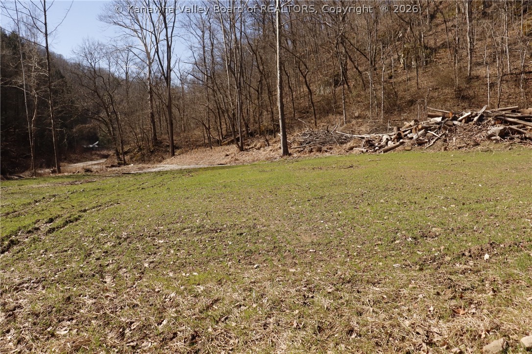 0 Straight Creek Road Walton, WV 25286 - Photo 46 of 47 Gallery Image 46