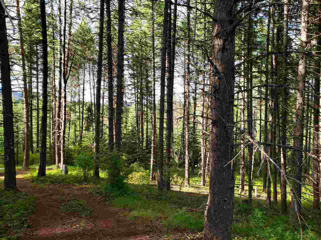 0 Rose Hill Road, Unit LOT #2 Springdale, WA 99173 - Photo 12 of 24