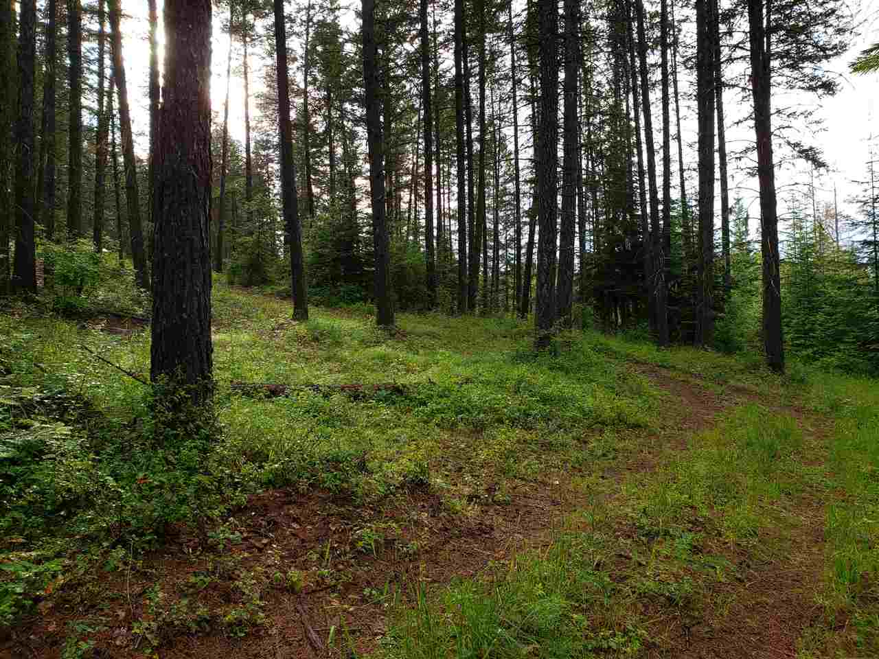 0 Rose Hill Road, Unit LOT #2 Springdale, WA 99173 - Photo 13 of 24