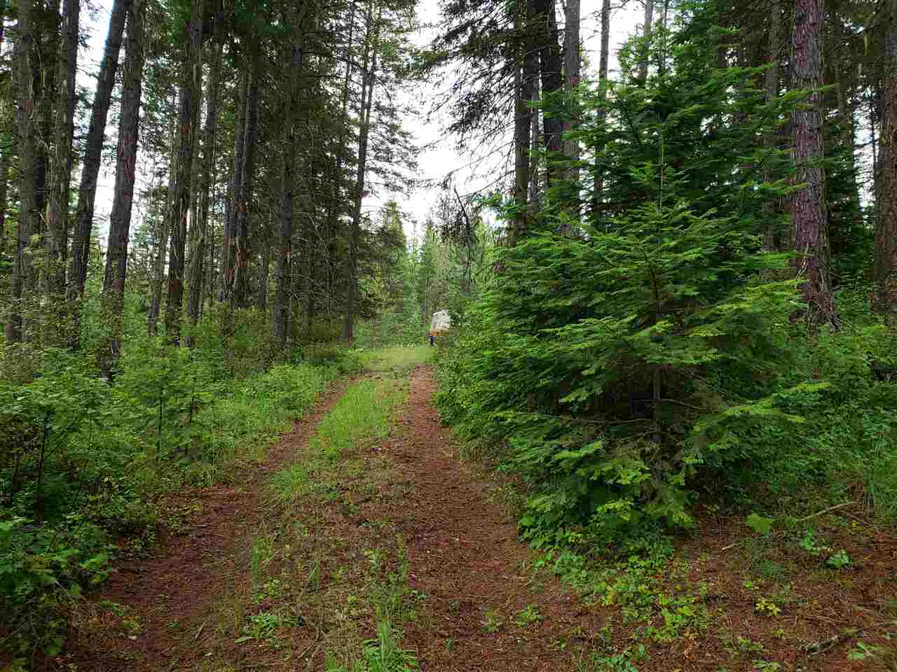 0 Rose Hill Road, Unit LOT #2 Springdale, WA 99173 - Photo 16 of 24
