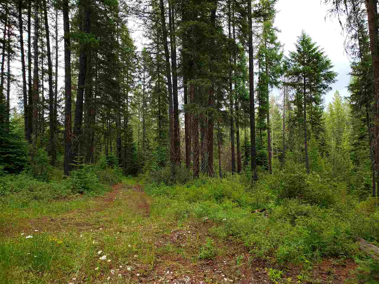0 Rose Hill Road, Unit LOT #2 Springdale, WA 99173 - Photo 18 of 24