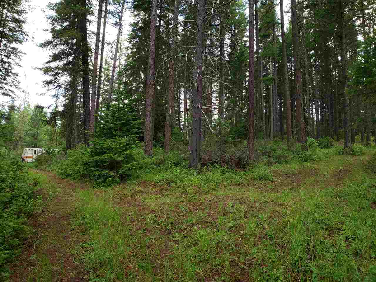 0 Rose Hill Road, Unit LOT #2 Springdale, WA 99173 - Photo 19 of 24
