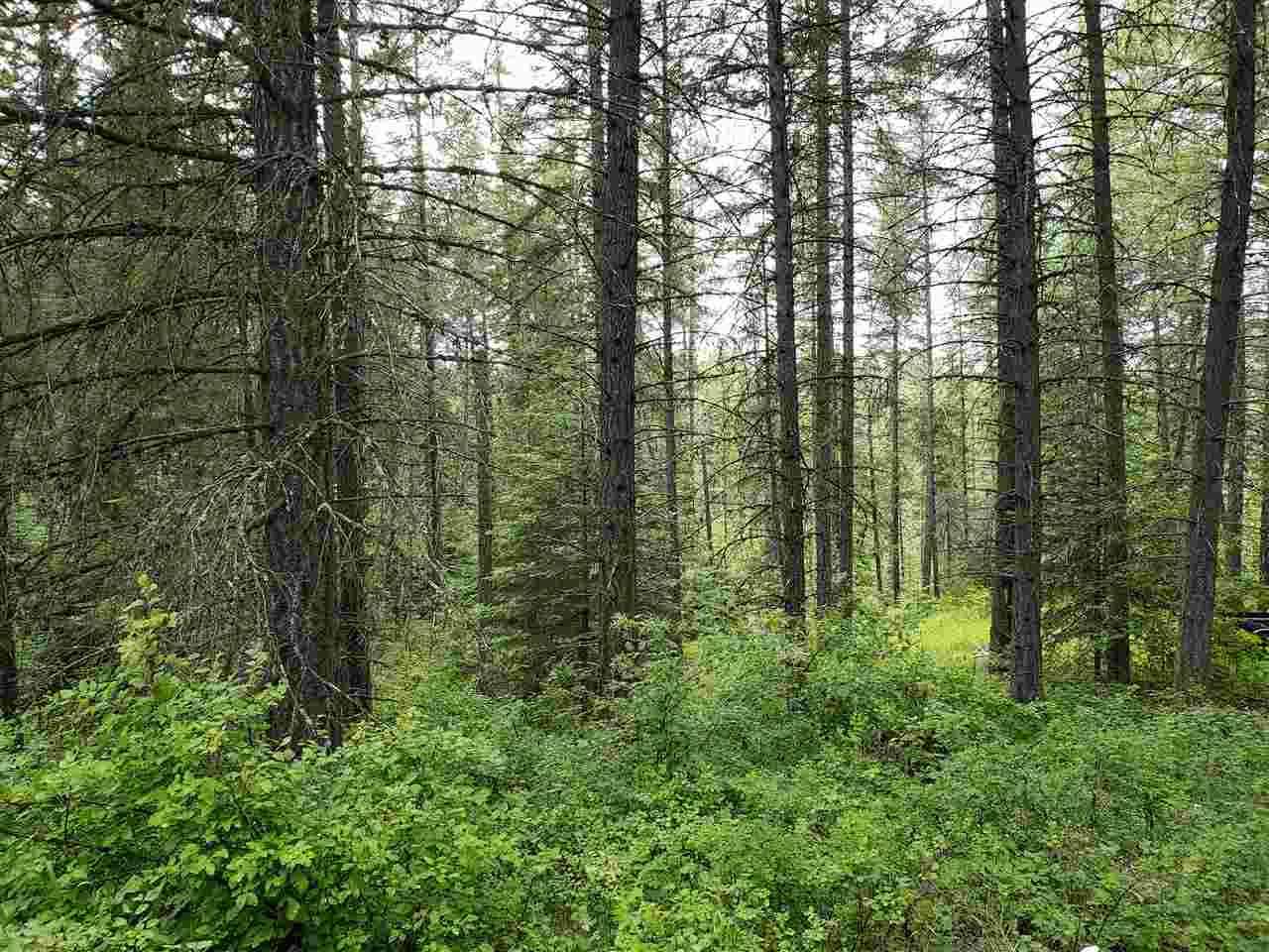 0 Rose Hill Road, Unit LOT #2 Springdale, WA 99173 - Photo 20 of 24