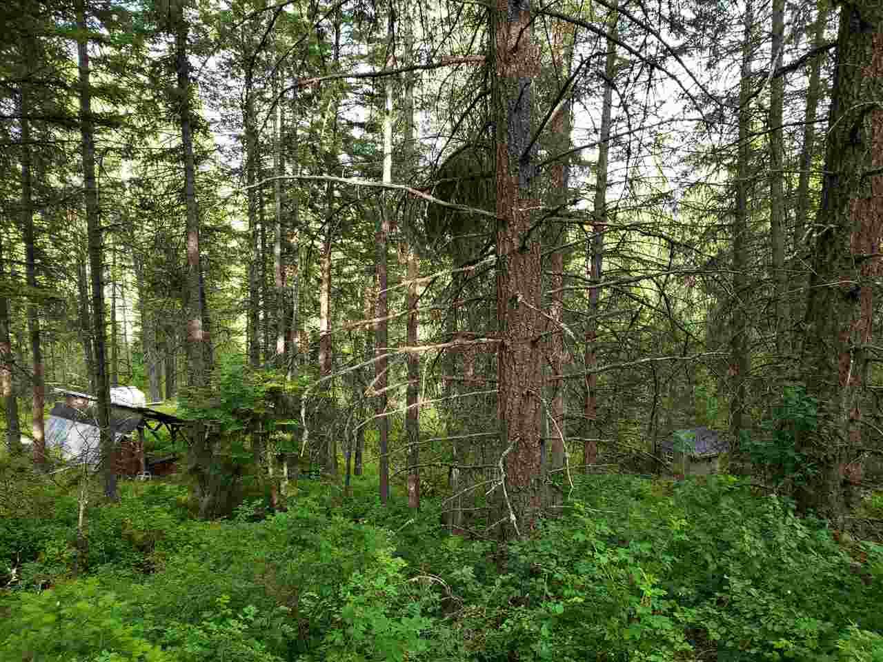 0 Rose Hill Road, Unit LOT #2 Springdale, WA 99173 - Photo 21 of 24