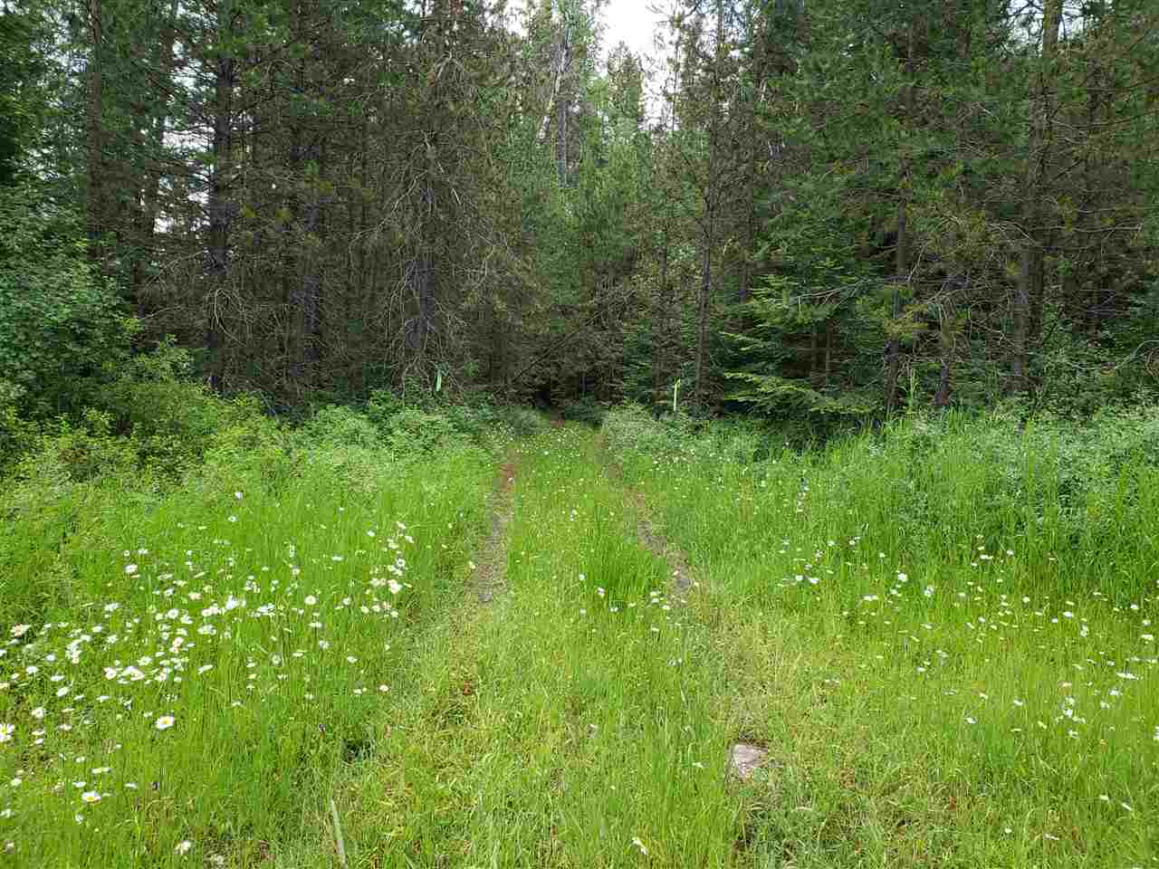0 Rose Hill Road, Unit LOT #2 Springdale, WA 99173 - Photo 5 of 24