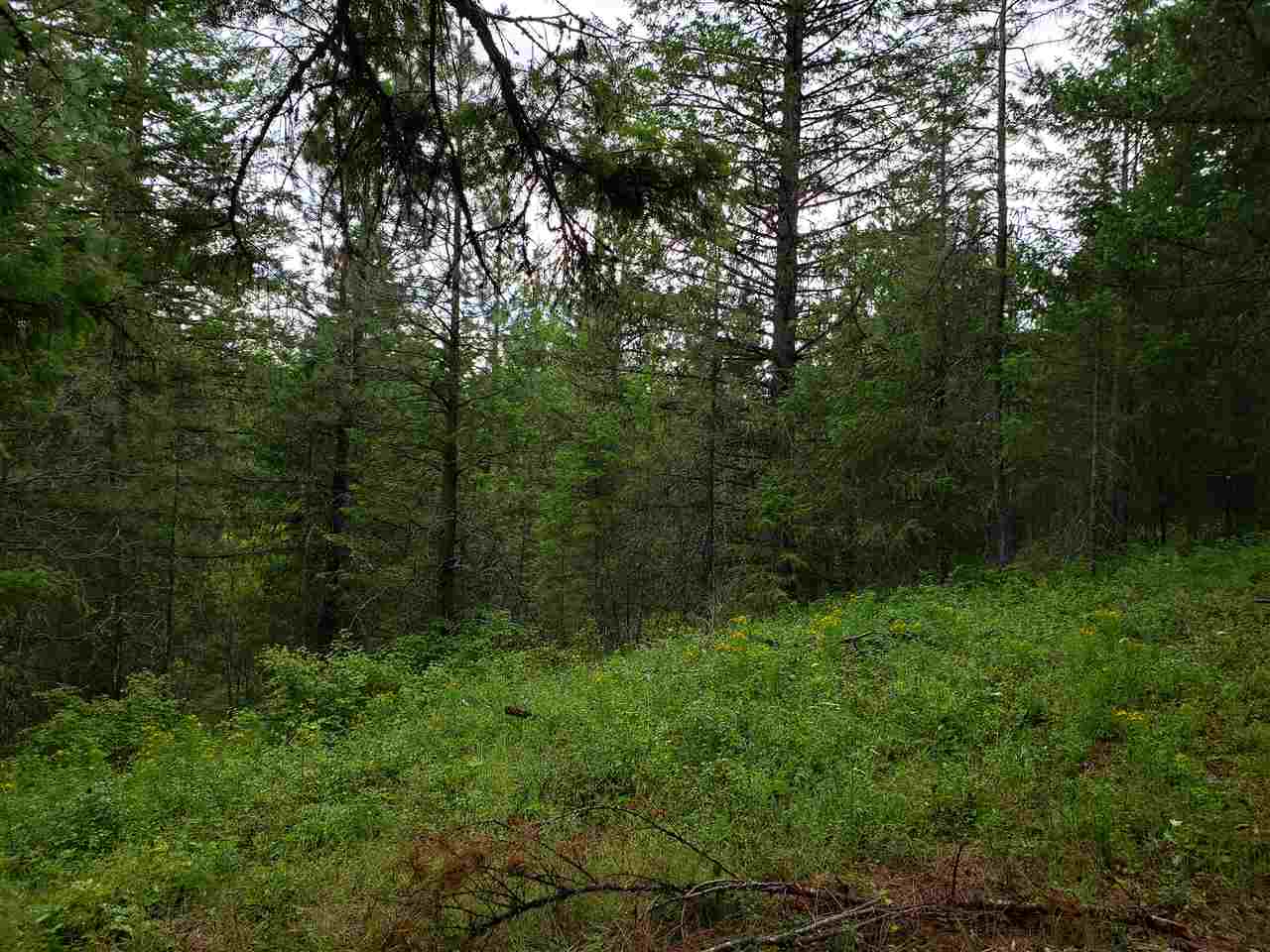 0 Rose Hill Road, Unit LOT #2 Springdale, WA 99173 - Photo 6 of 24