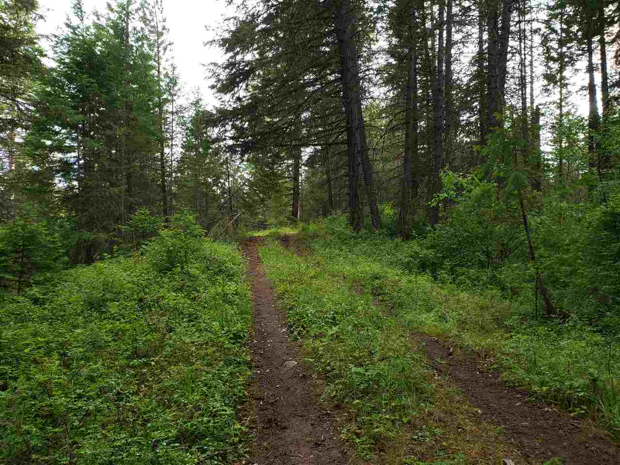 0 Rose Hill Road, Unit LOT #2 Springdale, WA 99173 - Photo 7 of 24