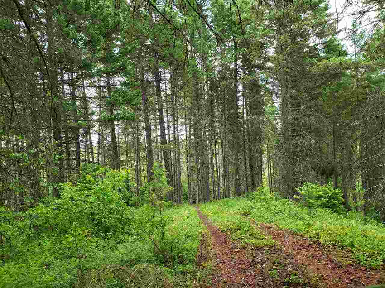 0 Rose Hill Road, Unit LOT #2 Springdale, WA 99173 - Photo 8 of 24
