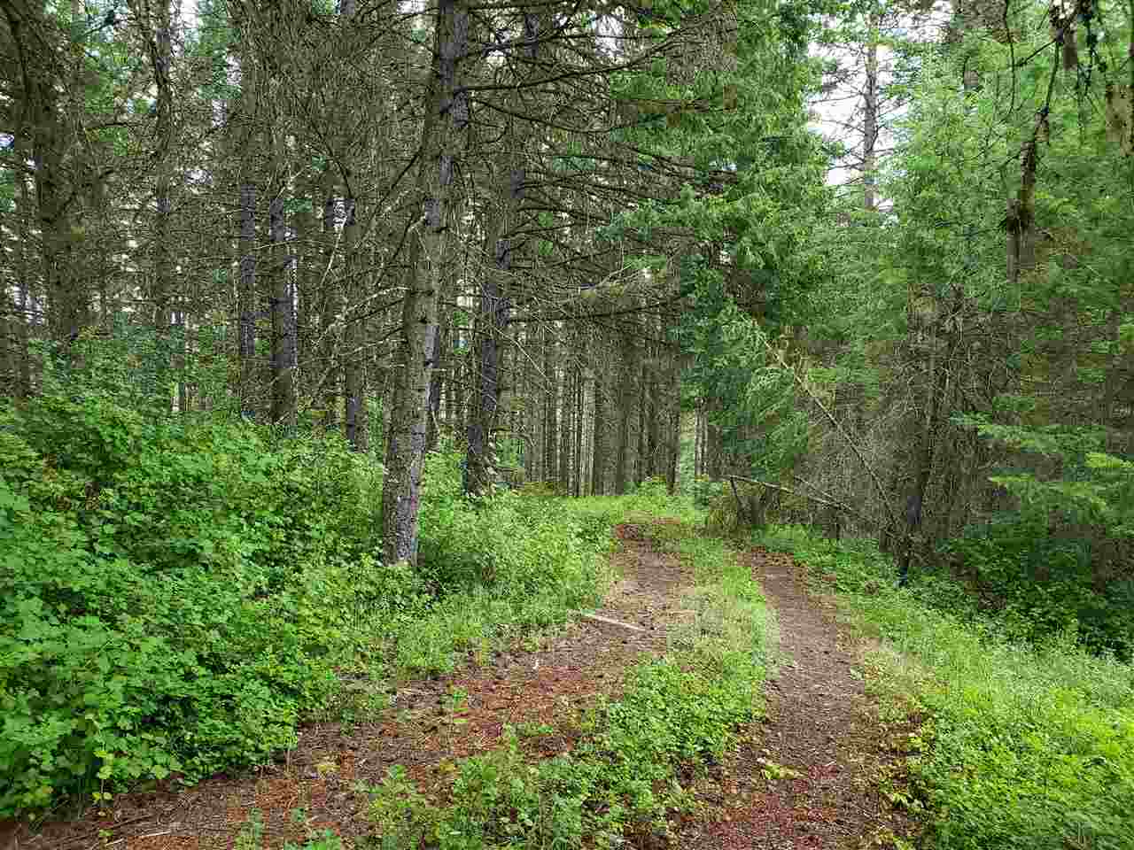 0 Rose Hill Road, Unit LOT #2 Springdale, WA 99173 - Photo 10 of 24
