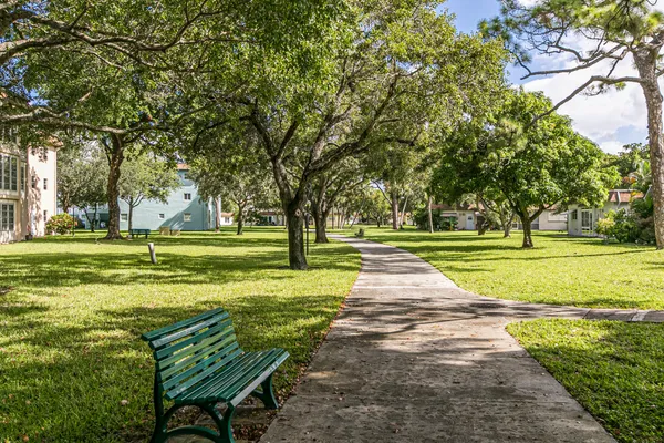 a view of a park with lots of trees