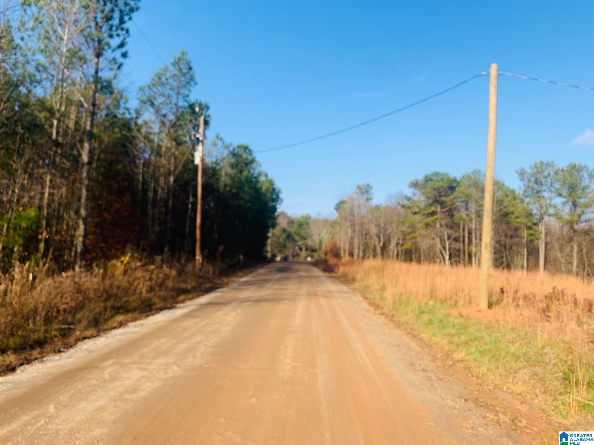 434 County Road 852, Unit 1 Ranburne, AL 36273 - Photo 5 of 14