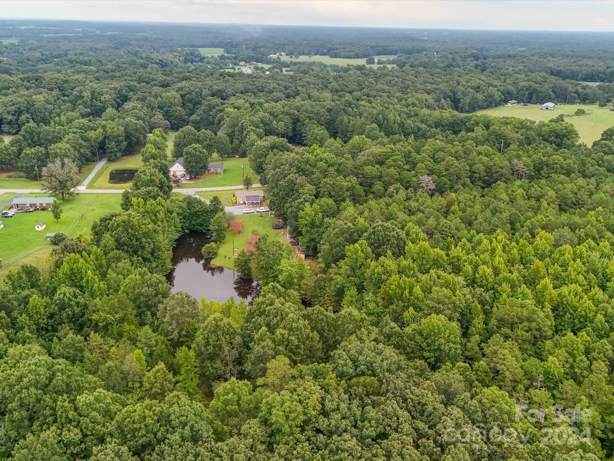 3802 White Store Road Wingate, NC 28174 - Photo 20 of 23 an aerial view of a house with a lush green forest