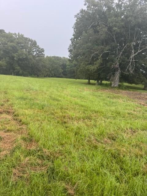 684 County Road Tupelo, MS 38801 - Photo 27 of 42 Gallery Image 27
