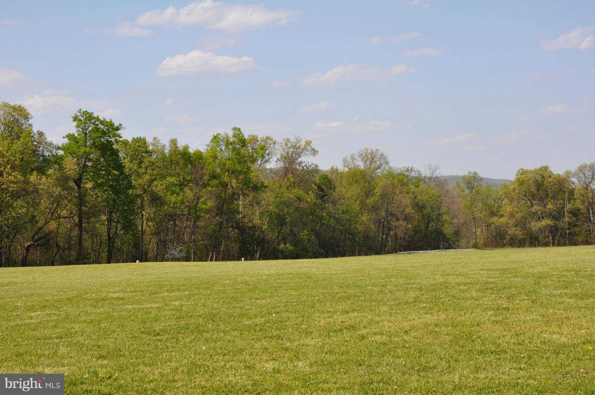 1590 Whitacre Road Cross Junction, VA 22625 - Photo 7 of 25 View
