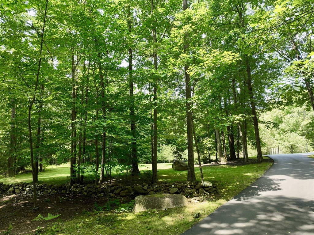 118 Alexander Hill Road Northfield, MA 01360 - Photo 32 of 39 Gallery Image 32