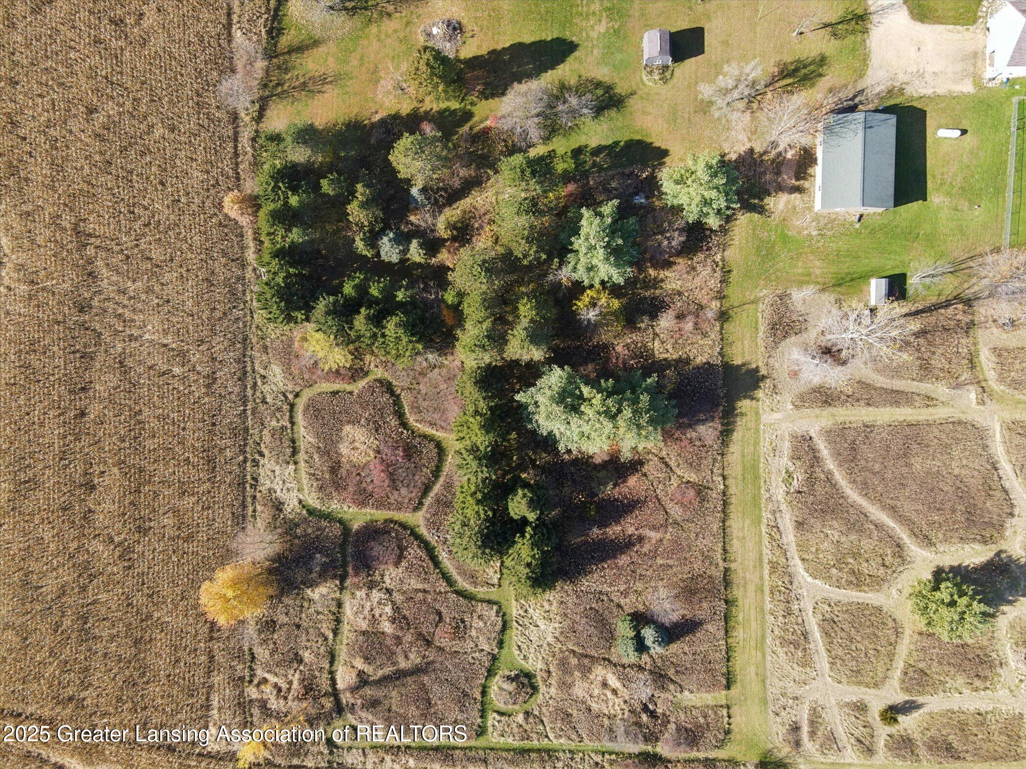 1325 South Watson Road St. Johns, MI 48879 - Photo 60 of 65 Aerial