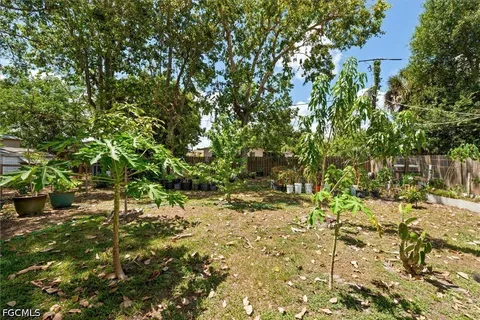a view of yard