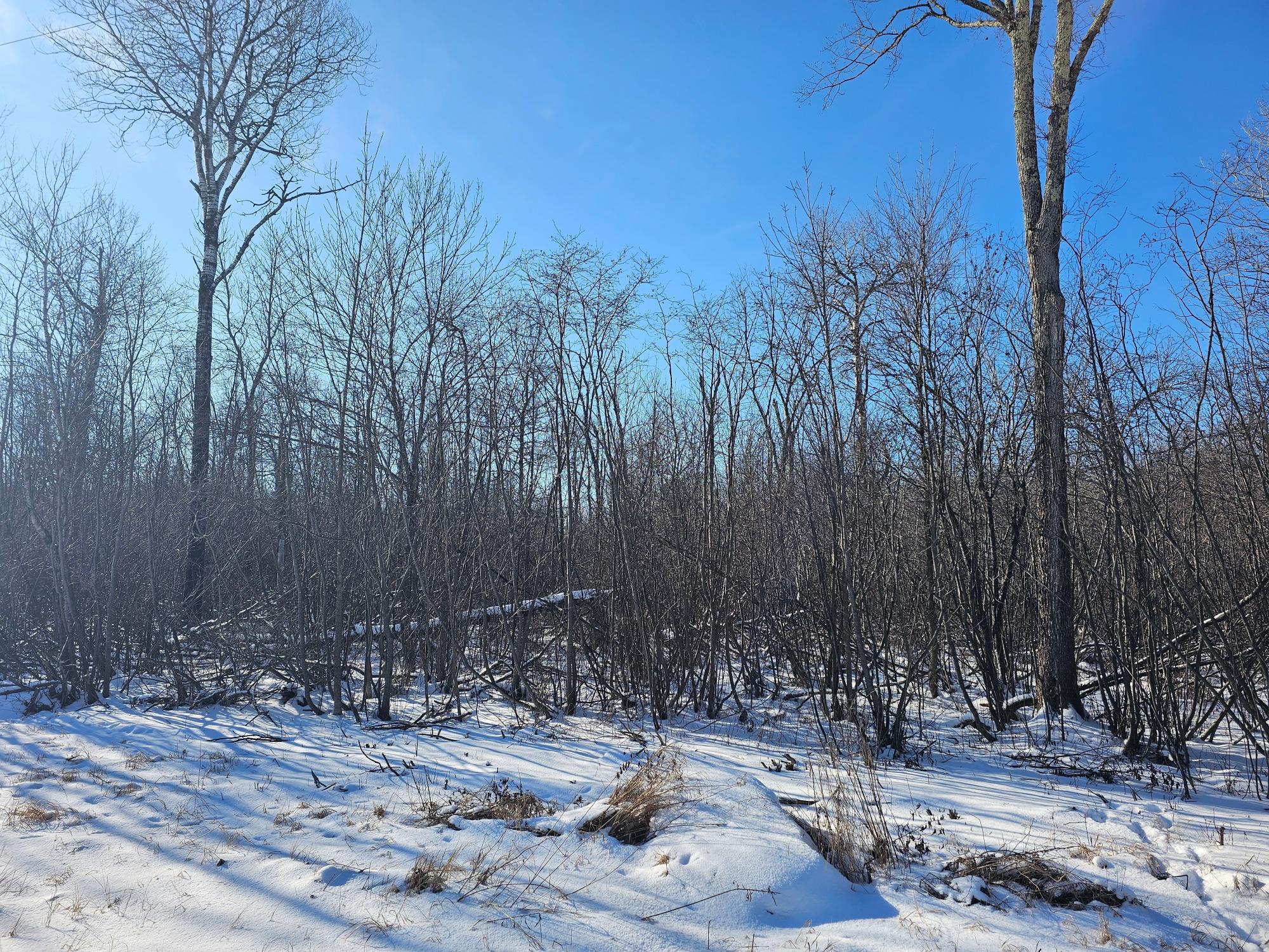 On Faust Road Tomahawk, WI 54487 - Photo 7 of 10 Gallery Image 7