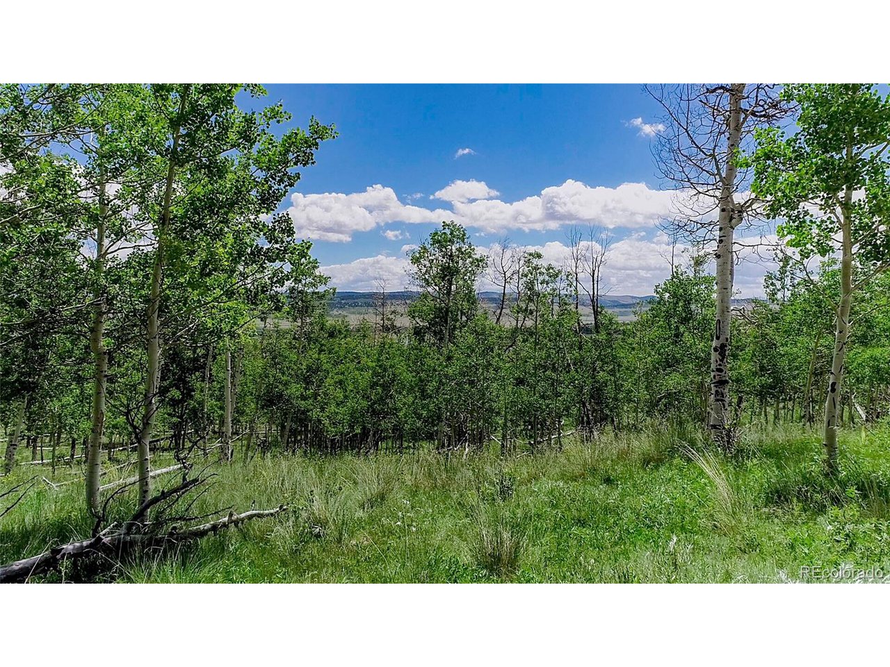 1047 Lumberjack Road Fairplay, CO 80440 - Photo 10 of 20 Gallery Image 10