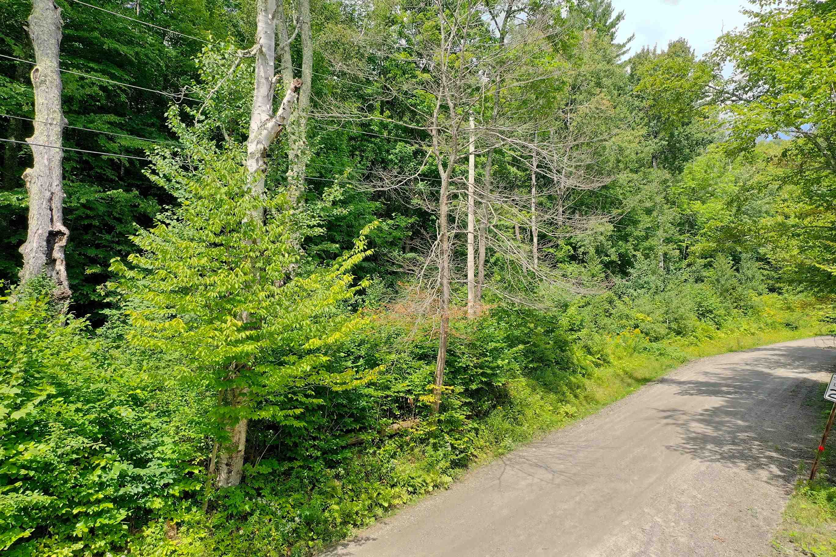 854 South Hill Road Pittsfield, VT 05762 - Photo 8 of 10