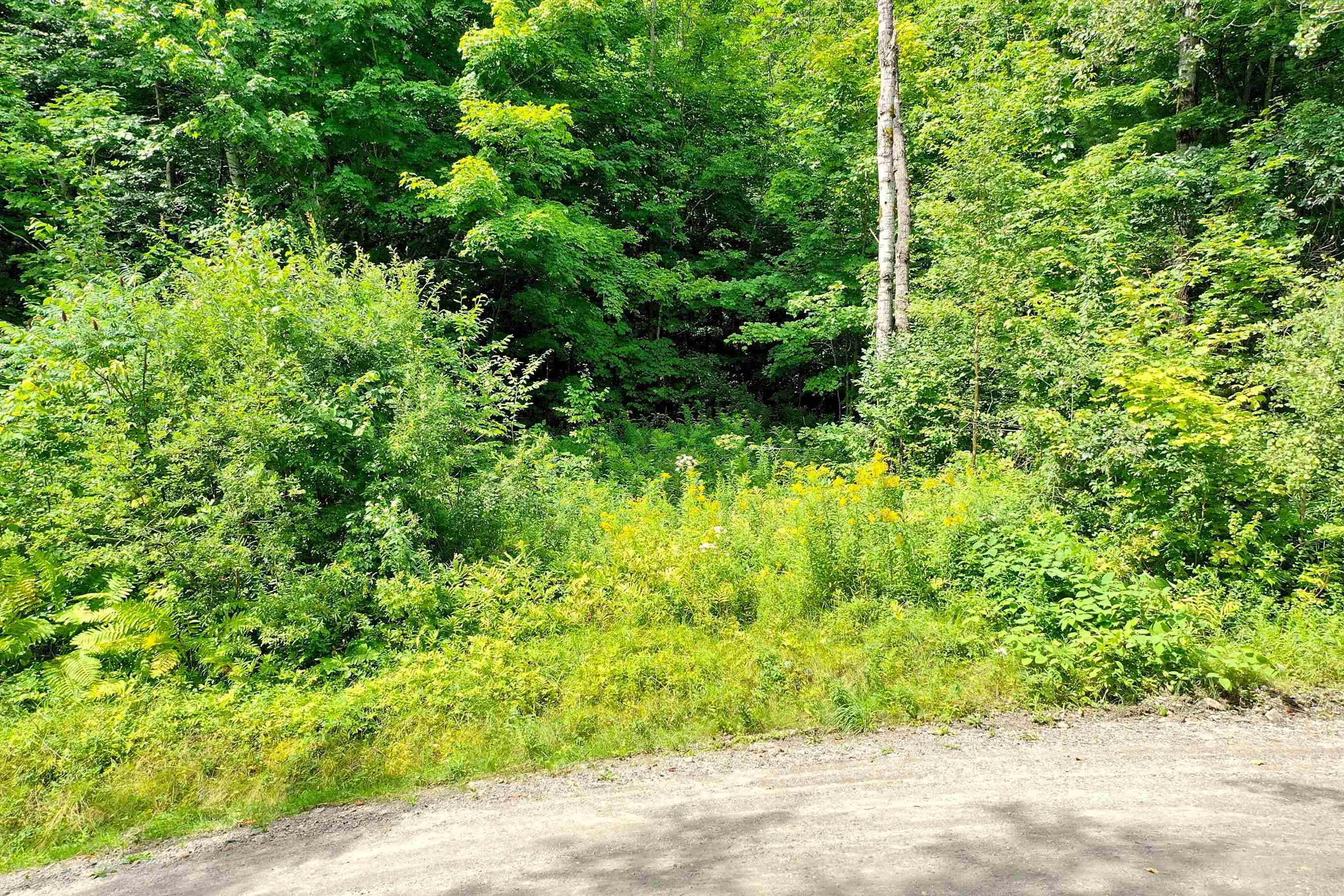 854 South Hill Road Pittsfield, VT 05762 - Photo 9 of 10