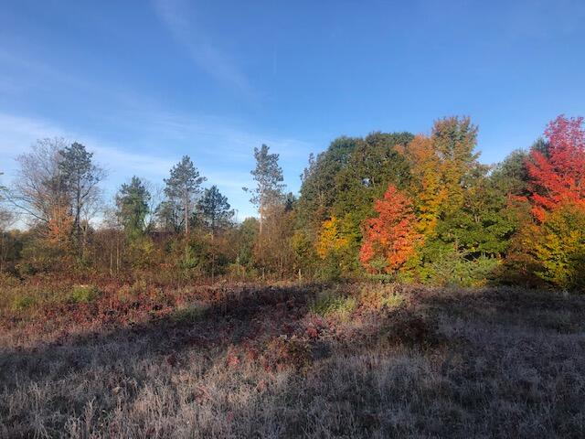 10824 9 Mile Road Kaleva, MI 49645 - Photo 17 of 25 IMG_8676