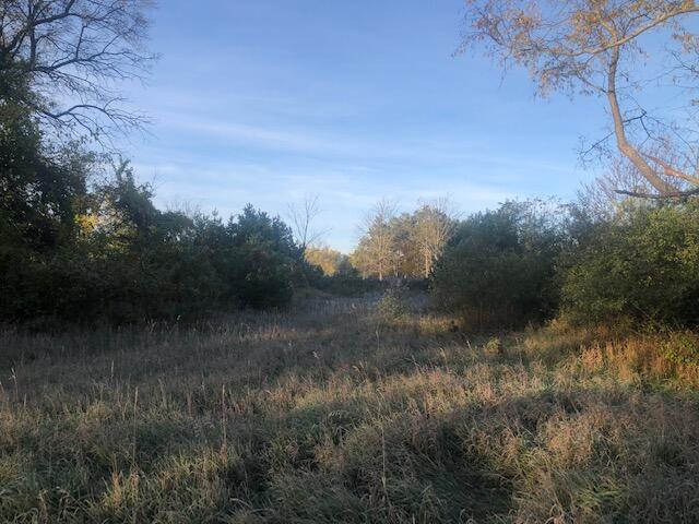 10824 9 Mile Road Kaleva, MI 49645 - Photo 9 of 25 IMG_8660