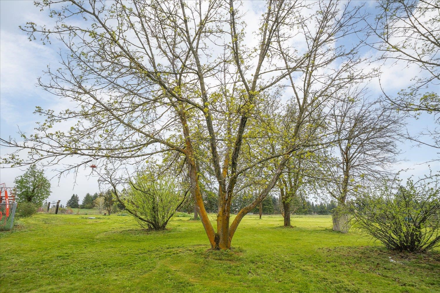 2105 West Borden Road Spokane, WA 99224 - Photo 36 of 50