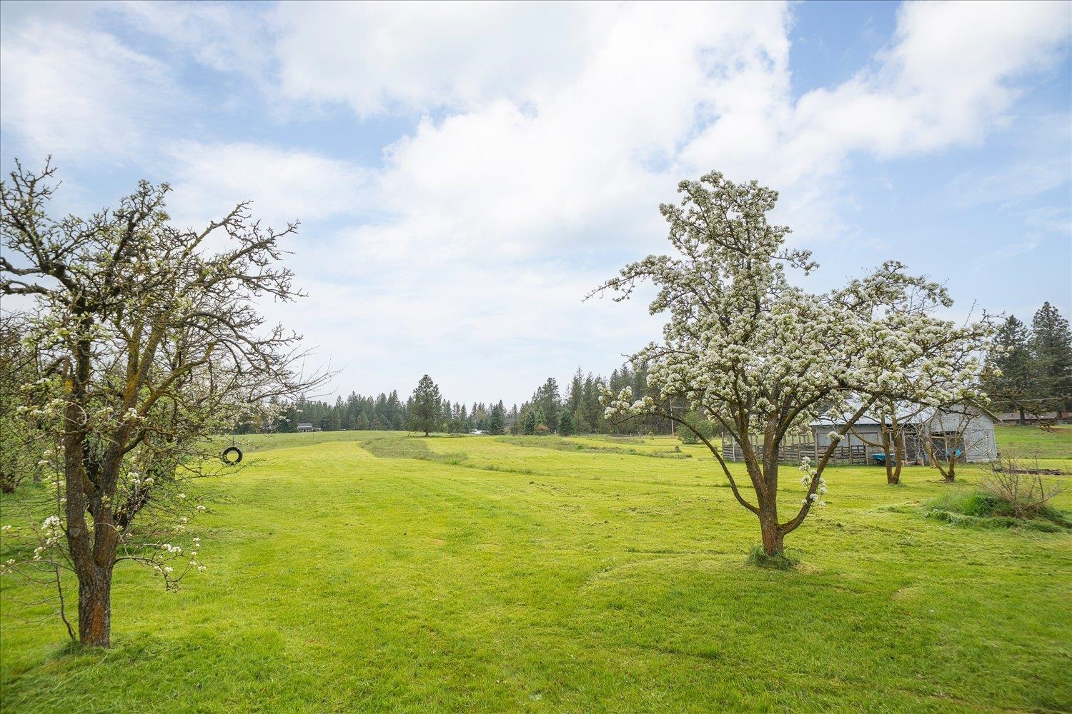 2105 West Borden Road Spokane, WA 99224 - Photo 37 of 50