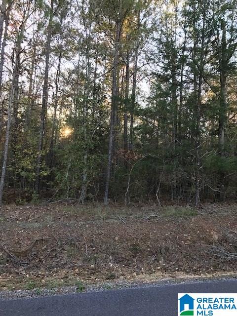 0 North Horton Road, Unit 2 Wilsonville, AL 35186 - Photo 2 of 7