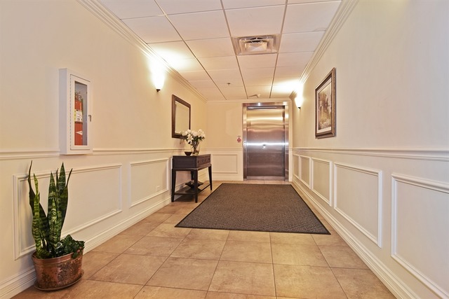 310 South Main Street, Unit 208 Lombard, IL 60148 - Photo 14 of 15 a hallway with a white stove top oven and potted plant